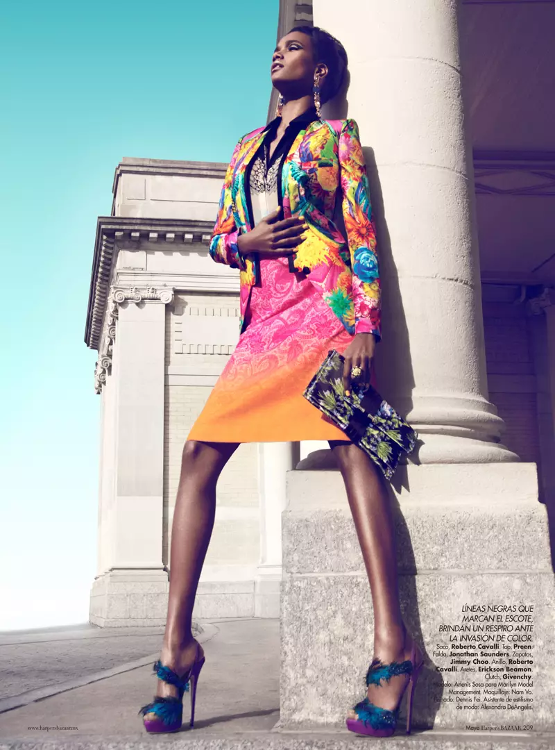 Arlenis Sosa ni Kevin Sinclair para sa Harper's Bazaar Mexico Mayo 2012