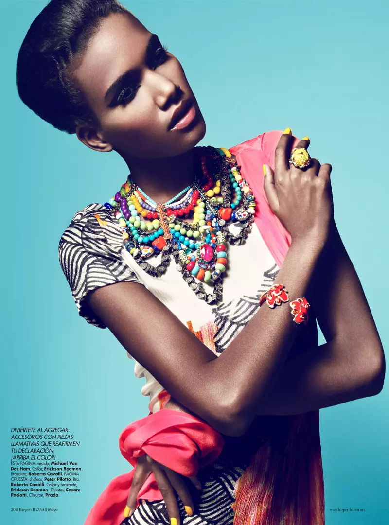 Arlenis Sosa විසින් Kevin Sinclair විසින් Harper's Bazaar Mexico සඳහා 2012 මැයි