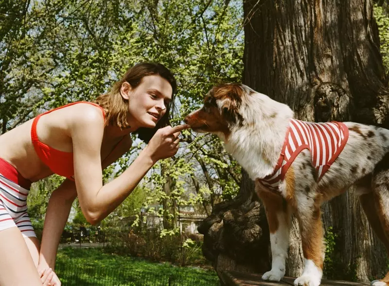 Modelja Cara Taylor pozon me qenin Choochie për Zara-n.