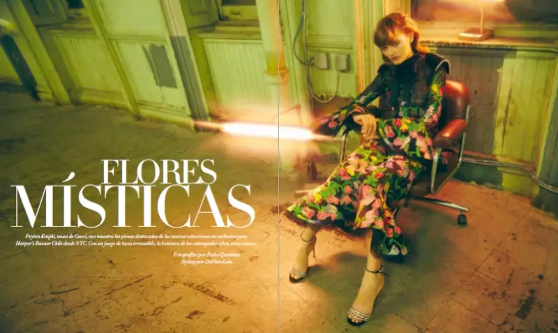 Peyton Knight modelira Guccijeve stilove izjava za Harper's Bazaar Chile