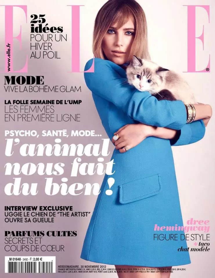 Is áilleacht Bohemian é Dree Hemingway do Elle France