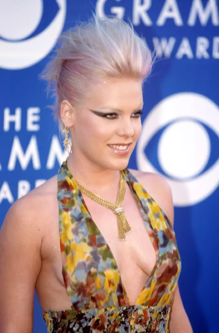 Fedele al suo nome, la cantante pop Pink è nota per sfoggiare i capelli rosa. Foto: Collezione Everett / Shutterstock.com