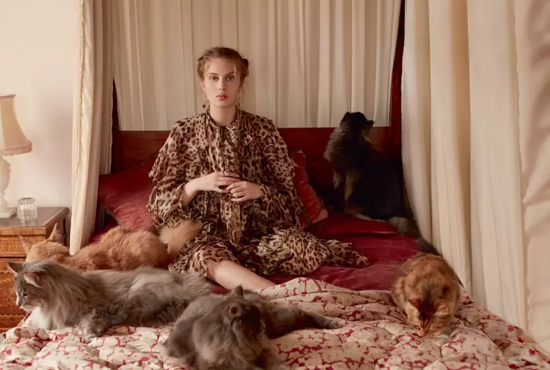 Florence Kosky a Harper's Bazaar UK divatos macskahölgye
