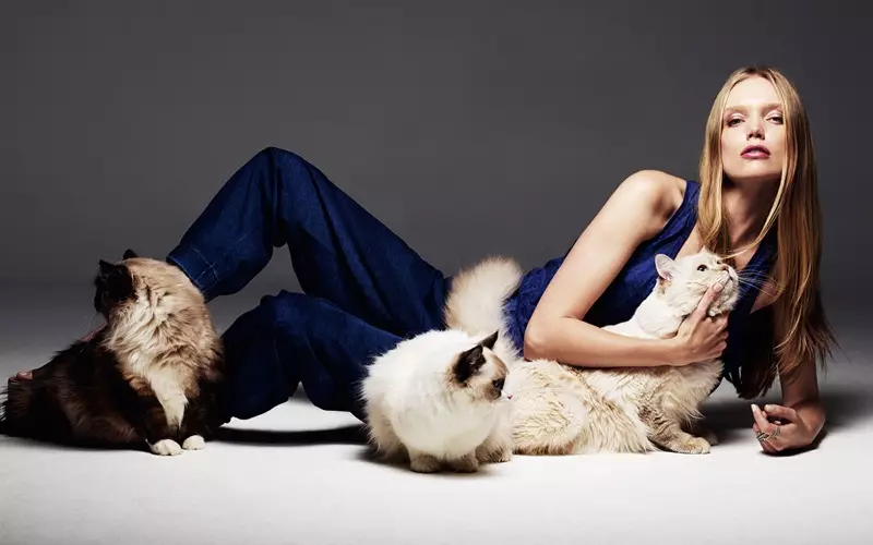 Shannon Ann Philips modelos con gatos para Glamour Italia