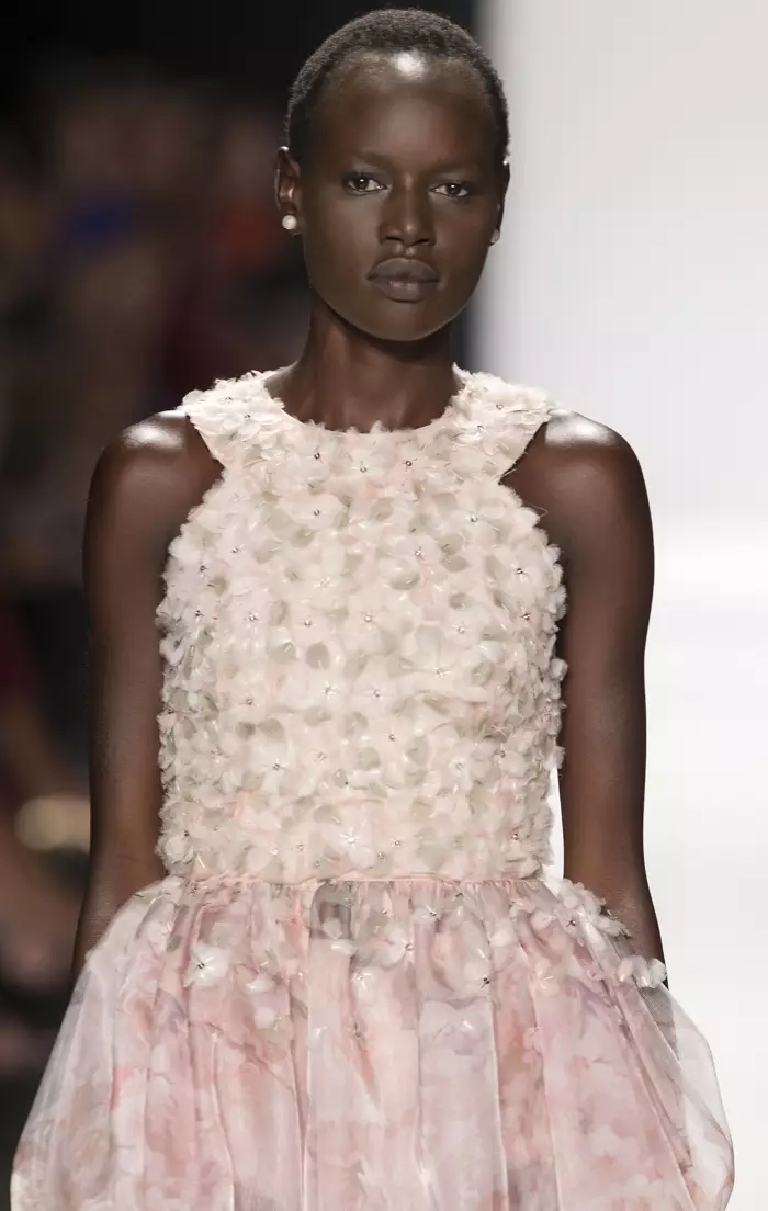 Ajak Deng. Сүрөт: Ovidiu Hrubaru / Shutterstock.com