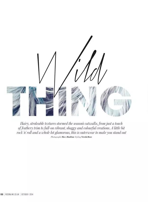 wild-thing-title-page