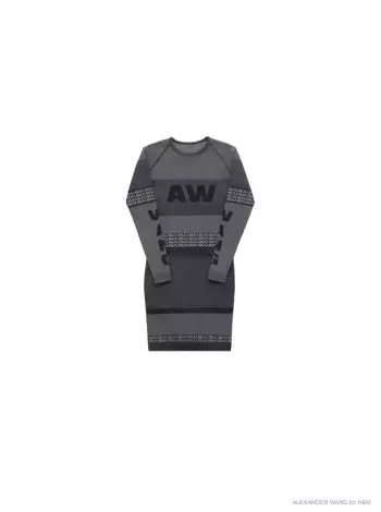 Ukujongwa ngokusondeleyo kwi-Alexander Wang x H&M Collection