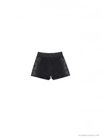 Se Va'aiga Va'ai ile Alexander Wang x H&M Collection