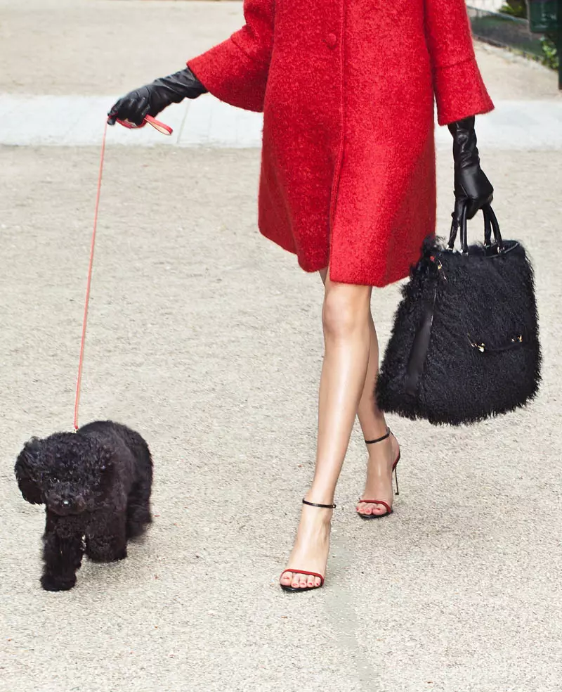 Nova coleção de bolsas de Carolina Herrera vai para os cães