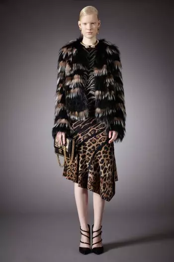 Roberto Cavalli Pre-Fall 2014 جو مجموعو