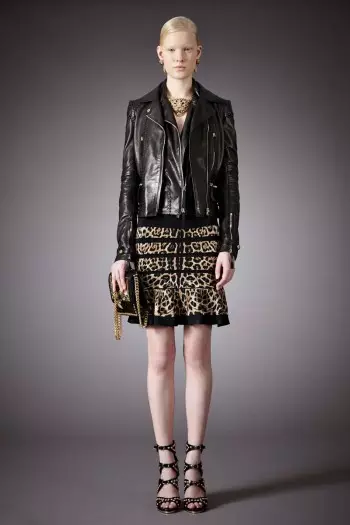 Roberto Cavalli Pre-Fall 2014 Collection