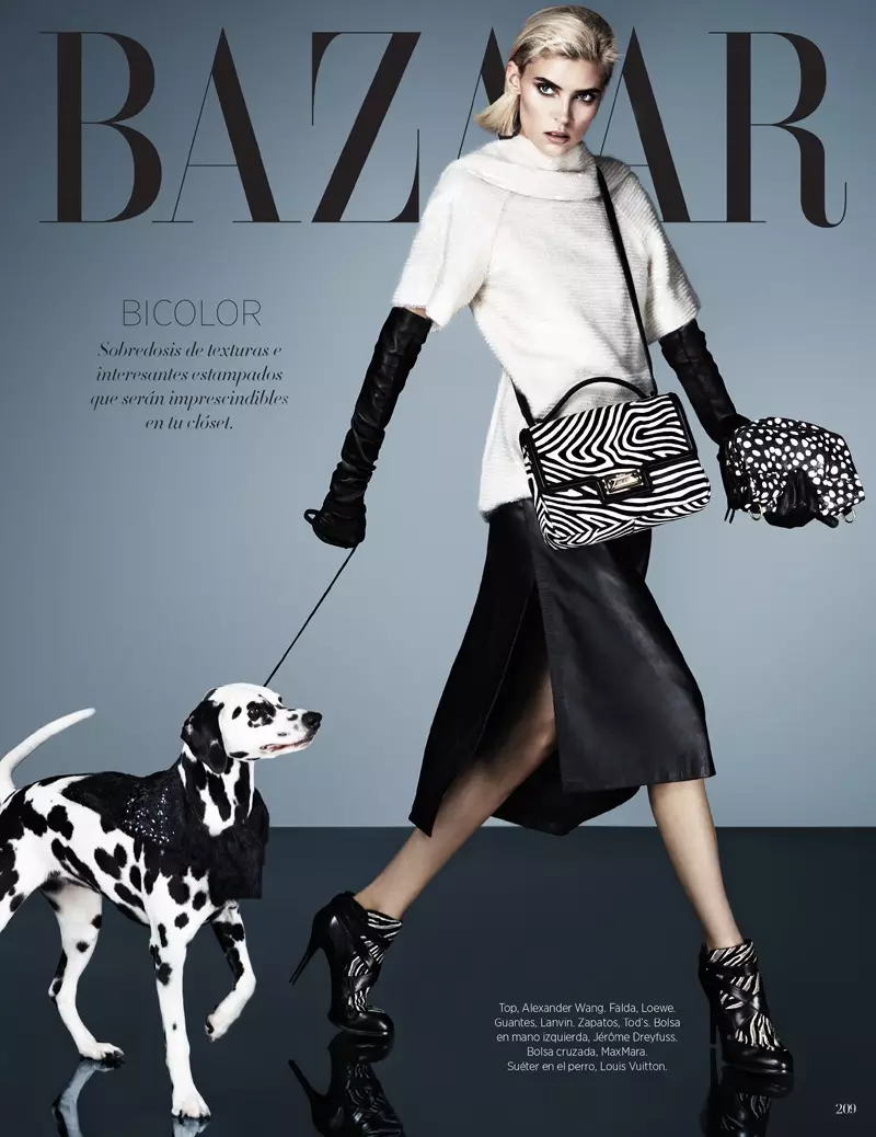 Alison Nix Channels Cruella de Vil už Harper's Bazaar Lotynų Ameriką, kurį sukūrė Jasonas Kimas
