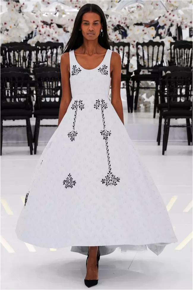 Dior Caij nplooj zeeg 2014 Couture