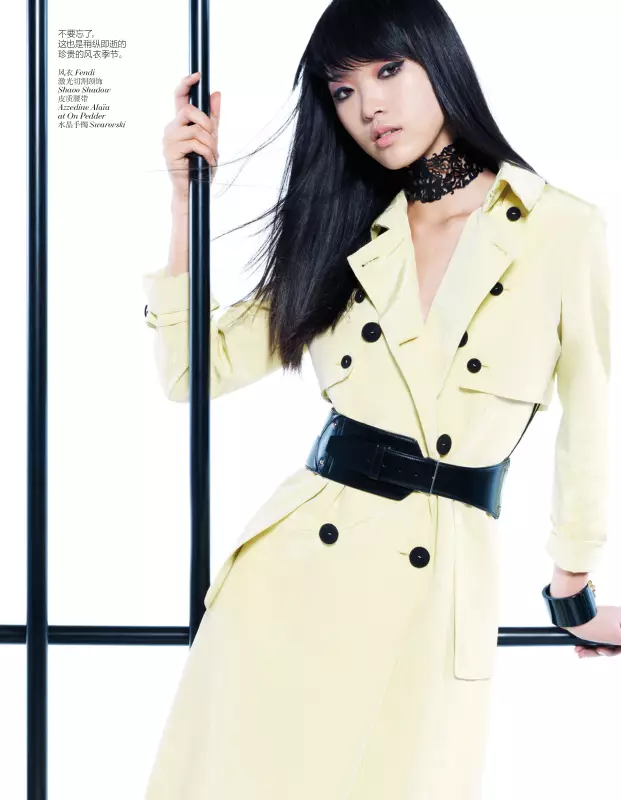 Tian Yi Looks Resort Ready dans le numéro de janvier 2013 de Vogue Chine par Stockton Johnson