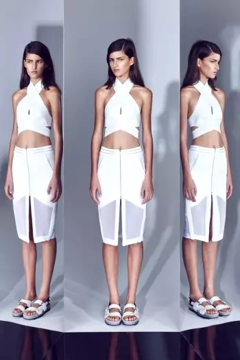 Dion Lee Resort 2014 bilduma