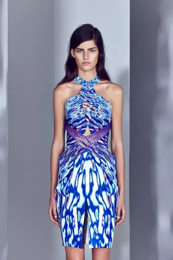 Dion Lee Resort 2014 စုစည်းမှု