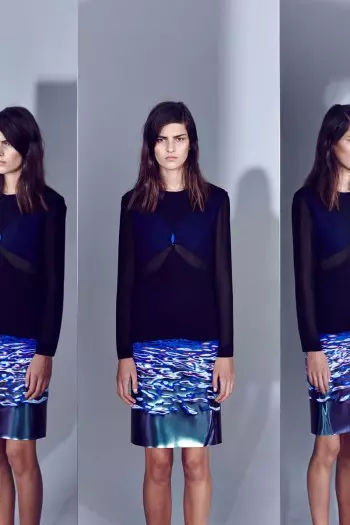 Casgliad Cyrchfan Dion Lee 2014