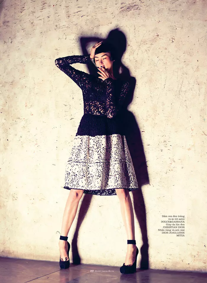 Hye Jung Lee 為 Elle Vietnam 2012 年 12 月打造深色冬季時裝模特