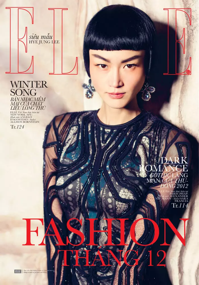 Ҳе Ҷунг Ли моделҳои мӯдҳои зимистонаи торикӣ барои Elle Vietnam декабри 2012
