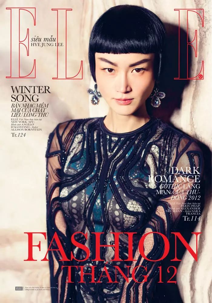 Hye Jung Lee modela modas oscuras de invierno para Elle Vietnam, diciembre de 2012