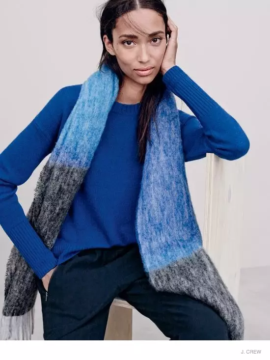 J. Crew Herfst/Winter 2014 Truien