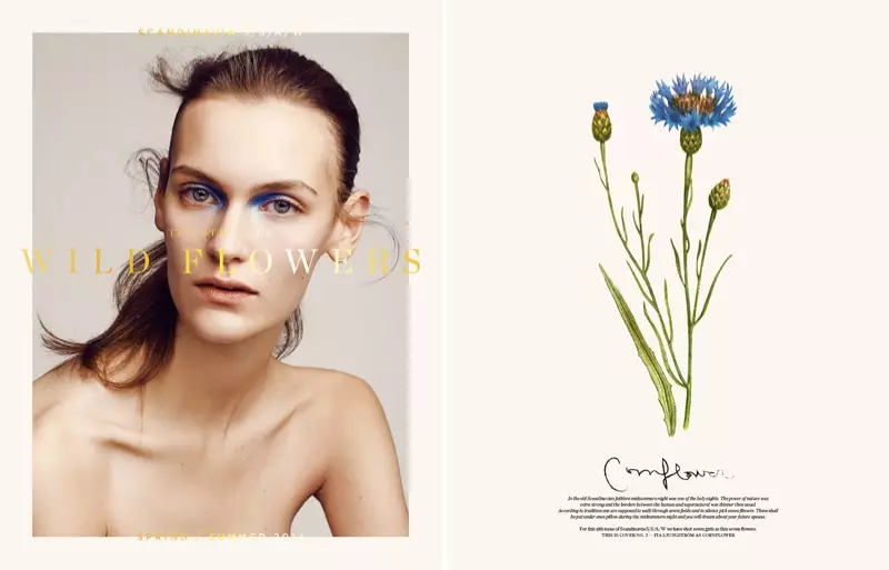 Nadja Bender, Juliane Gruner, Hedvig Palm + More Cover Scandinavia S/S/A/W