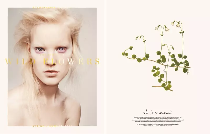 Nadja Bender, Juliane Gruner, Hedvig Palm + Liyane Cover Scandinavia S/S/A/W