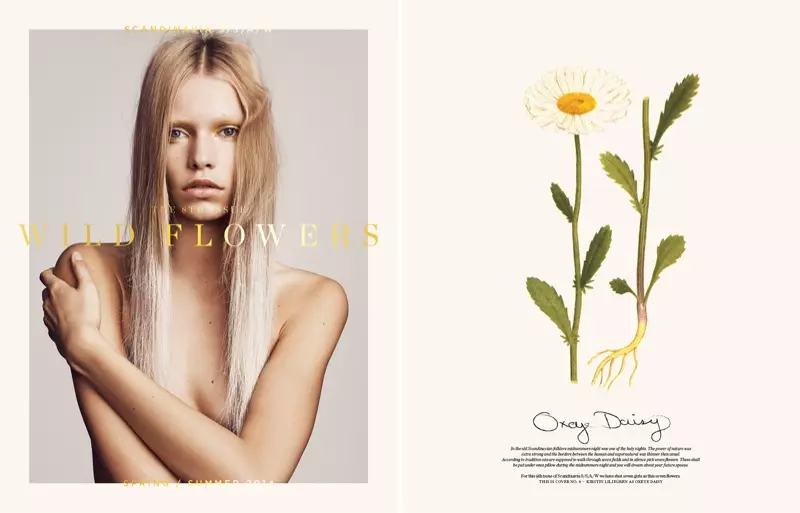 Nadja Bender, Juliane Gruner, Hedvig Palm + More Cover Scandinavia S/S/A/W