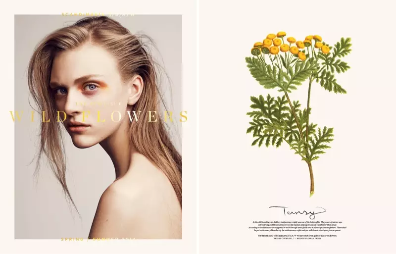 Nadja Bender、Juliane Gruner、HedvigPalm+その他のカバースカンジナビアS/S / A / W