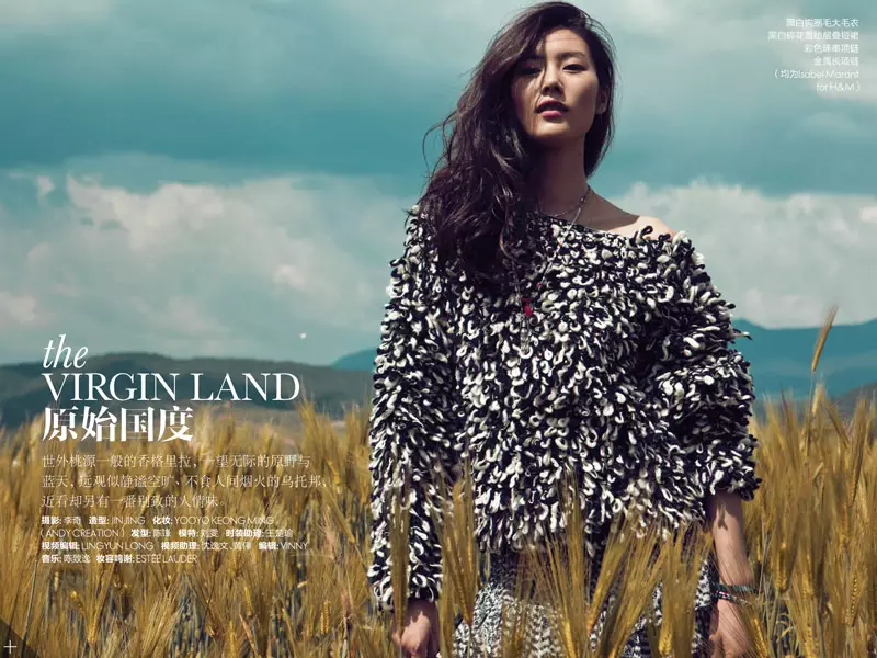 2013 ခုနှစ် ဒီဇင်ဘာလတွင် Elle China မှ Cover Shoot တွင် Liu Wen ကြယ်ပွင့်များ