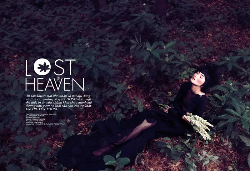 Miao Bin Si Models Ethereal Beauty for Elle Vietnam October 2012 by Stockton Johnson