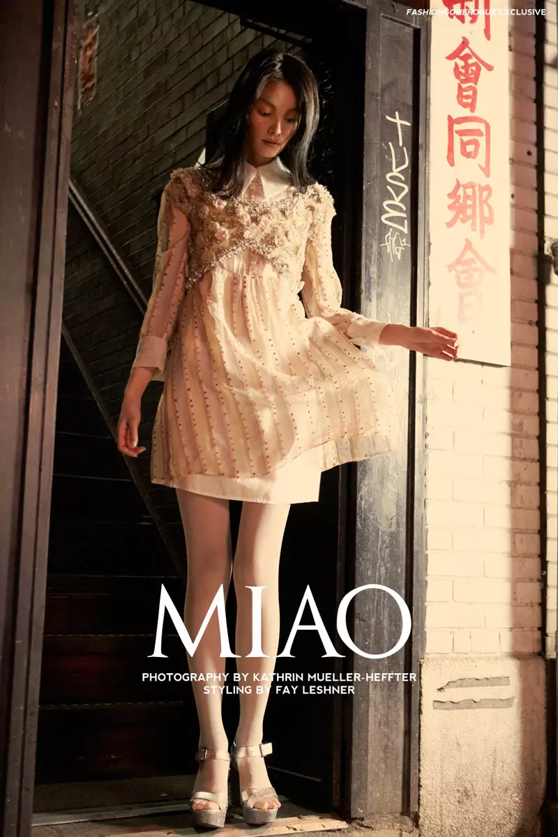 Miao Bin Si פון Kathrin Mueller-Heffter פֿאַר Fashion Gone Rogue