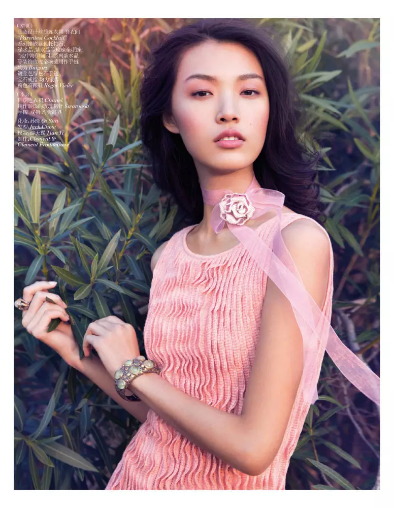 Tian Yi ninzozi za Pastel muri Vogue Ubushinwa Mutarama 2013 na Stockton Johnson