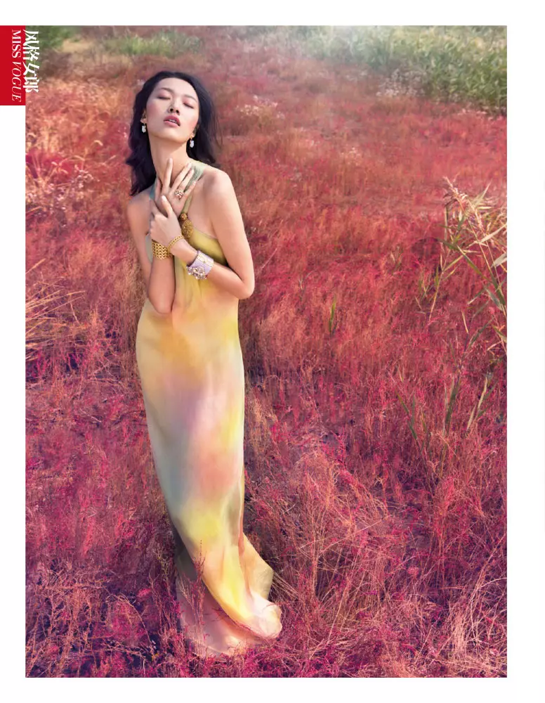 Tian Yi - bu pastel orzusi, Xitoyning Vogue-da 2013 yil yanvarida Stokton Jonson tomonidan