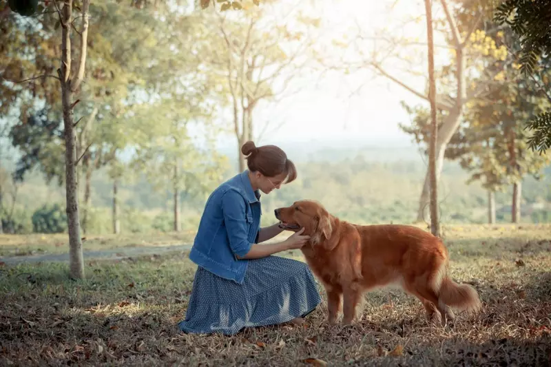 Зан Park Golden Retriever Dog Denim куртаи