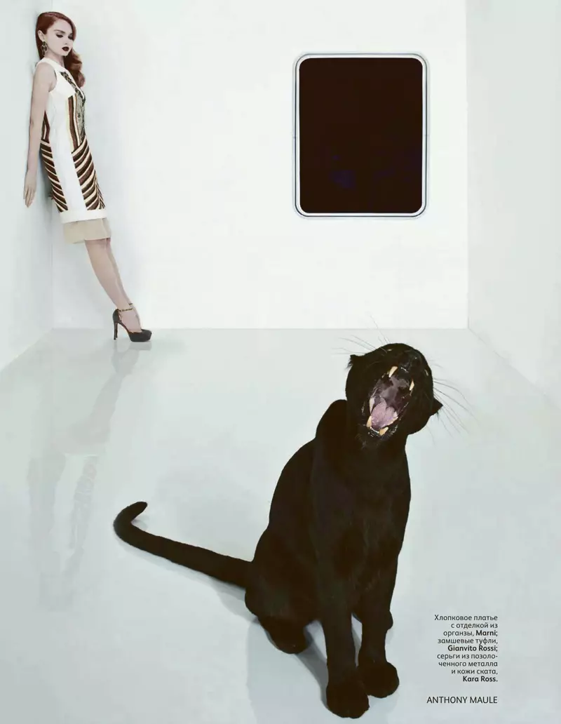 Lily Cole ni Anthony Maule para sa Vogue Russia