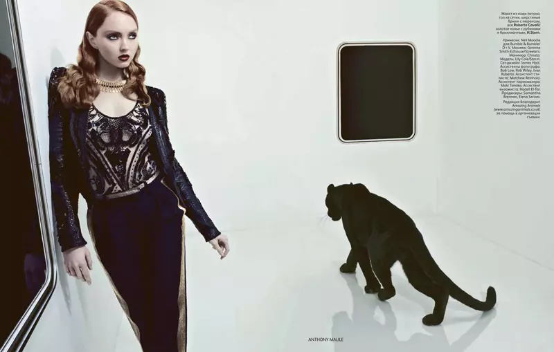 Lily Cole ku Anthony Maule pikeun Vogue Rusia