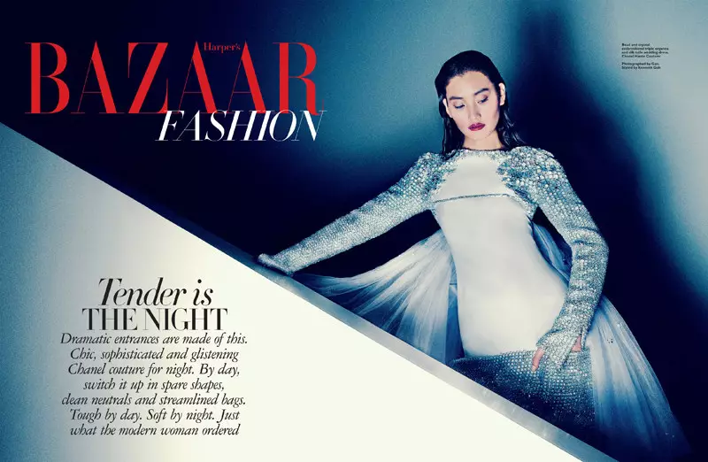 සිංගප්පූරුවේ Harper's Bazaar හි ජූලි කලාපය සඳහා Gan විසින් Chanel Haute Couture හි දී Lina Zhang අල්ලා ගන්නා ලදී