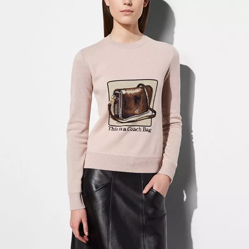 Coach ug Rodarte Pink Crewneck nga adunay Archive Intarsia $595