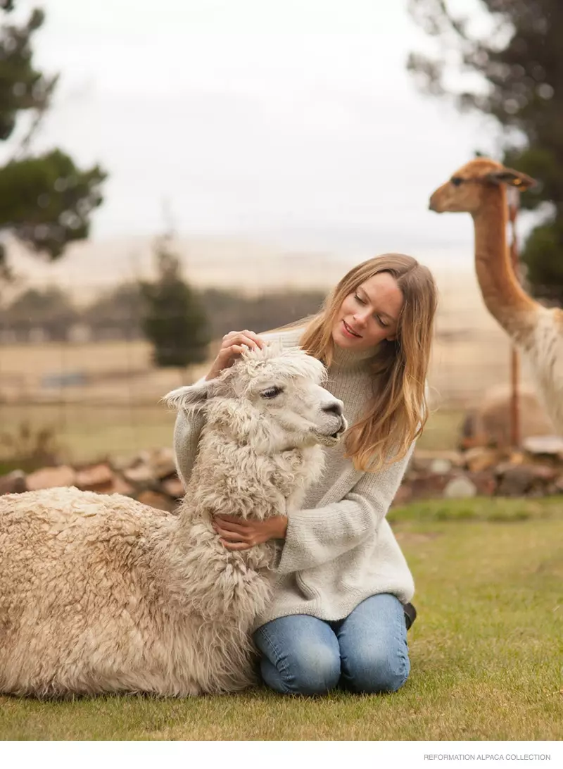 gyara-alpaca-tarin-2014-03