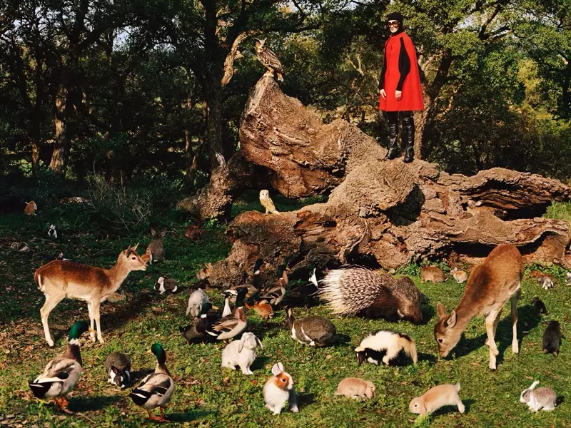 Gucci brengt een ode aan de natuur voor zijn pre-herfst 2020-campagne.