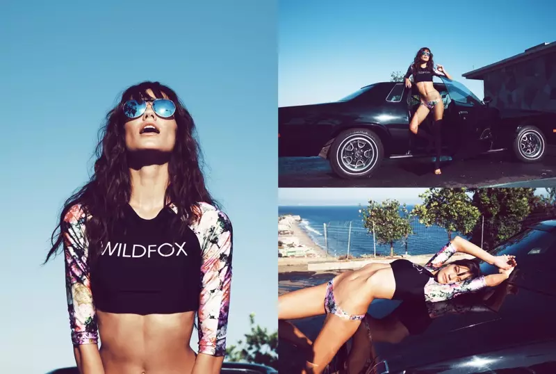 Wildfox simkryssning 2016