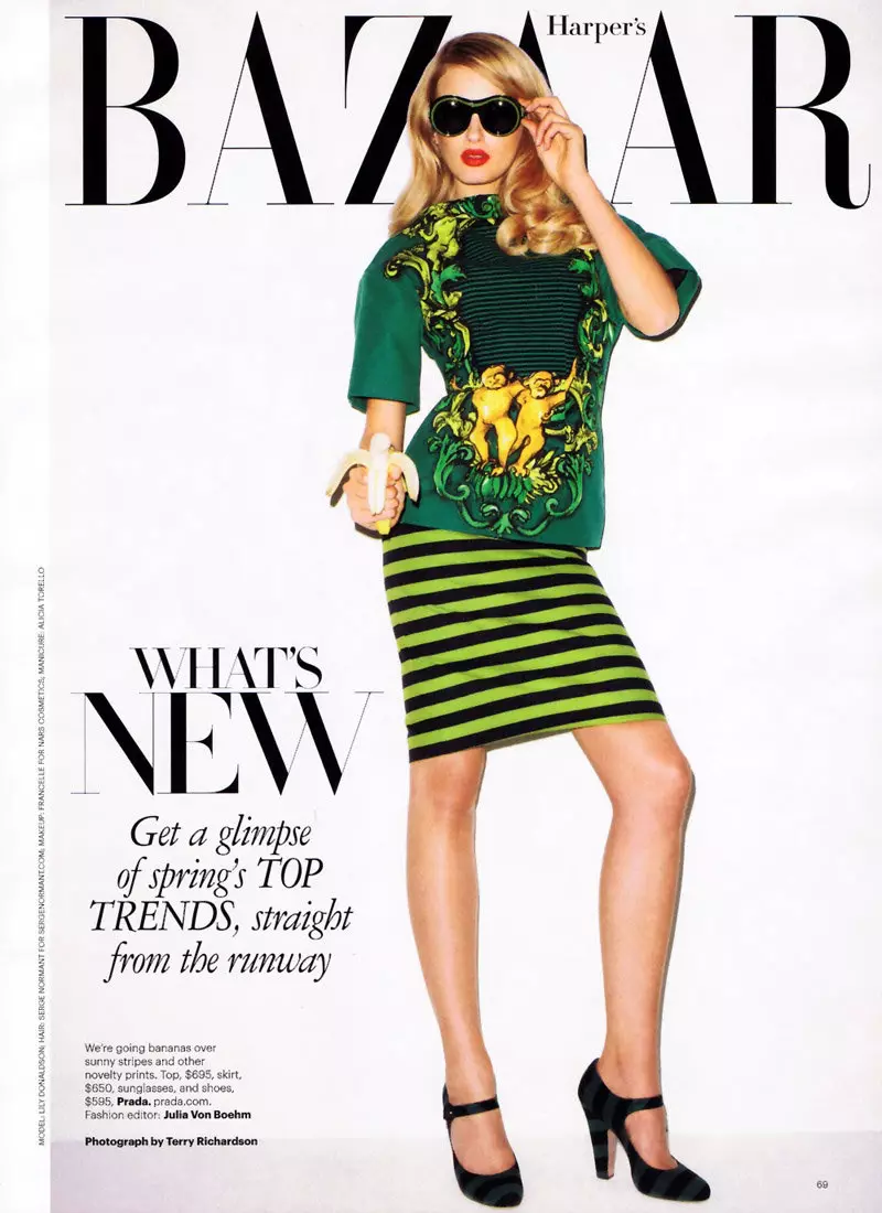 Lily Donaldson ni Terry Richardson para sa Harper's Bazaar US Enero 2011