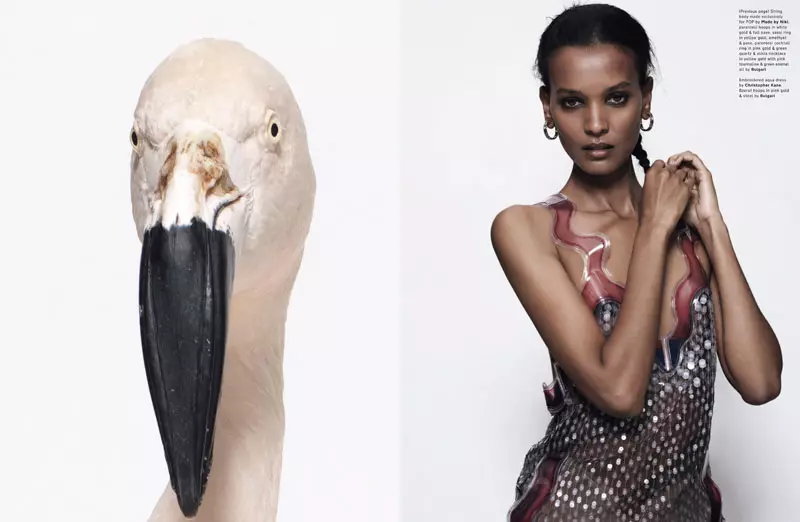 Liya Kebede by Sean & Seng for Pop F/W 2011