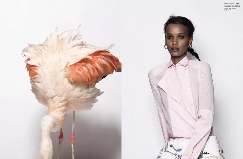 Liya Kebede autorstwa Seana i Senga dla muzyki pop F/W 2011