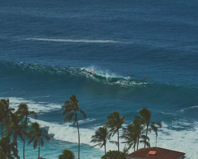 Binx Walton Soaks Up the Sun នៅ Hawaii សម្រាប់ WSJ ។ ទស្សនាវដ្តី