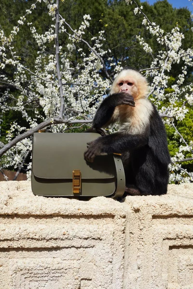 Allie the Monkey frontar Saint Laurent vinterkampanj 2019