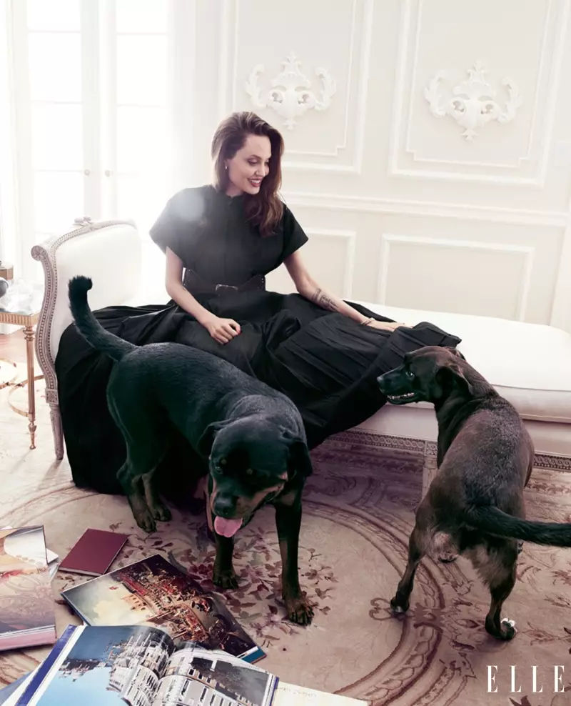 Angelina Jolie poserer med hunde og bærer Dior-kjole og bælte