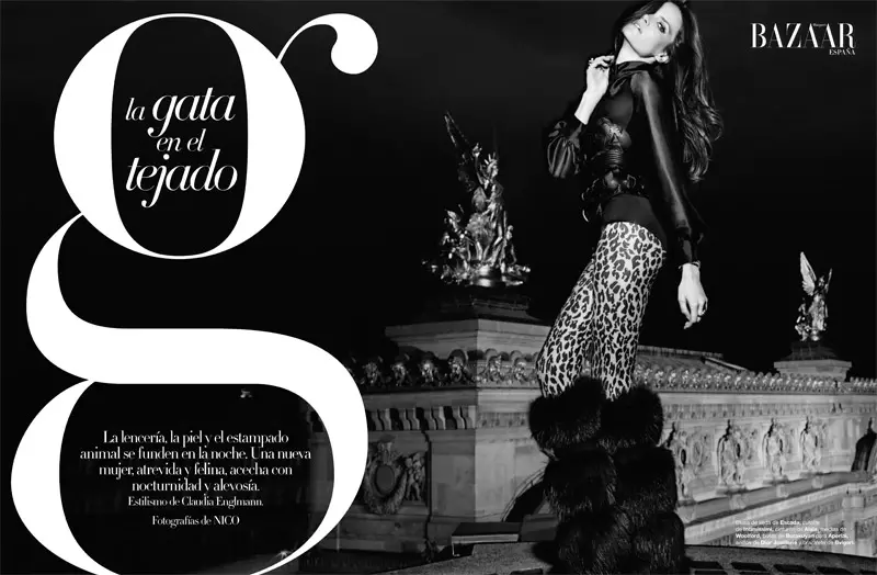 Missy Rayder dla Harper's Bazaar, Hiszpania, listopad 2010, Nico