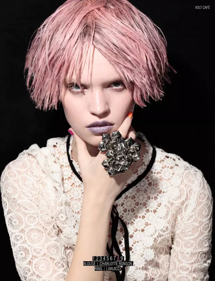 Luisa Bianchin เป็น Pink Lady สำหรับ Volt #11 โดย Jacob Sadrak